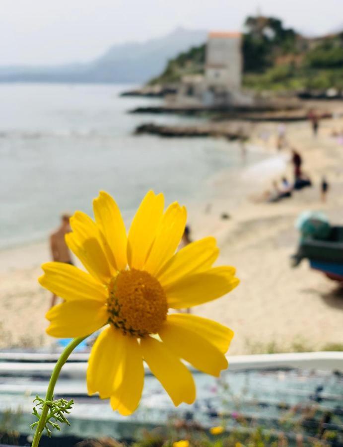 Apartmán La Casetta Di Maria Santa Flavia Exteriér fotografie