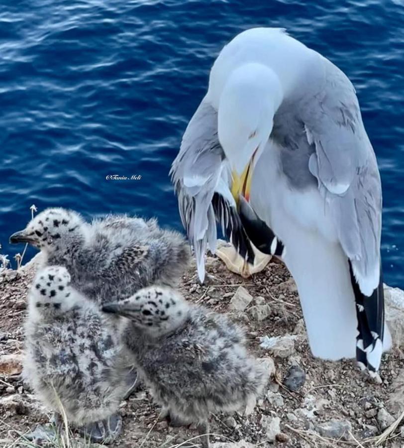 Apartmán La Casetta Di Maria Santa Flavia Exteriér fotografie